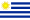 Bandera-de-Uruguay